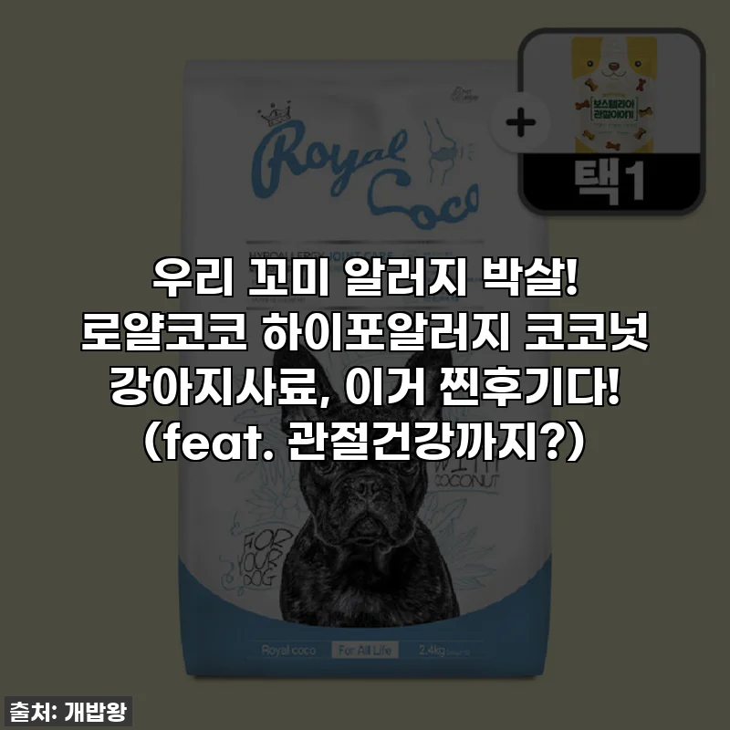 우리 꼬미 알러지 박살! 로얄코코 하이포알러지 코코넛 강아지사료, 이거 찐후기다! (feat. 관절건강까지?)