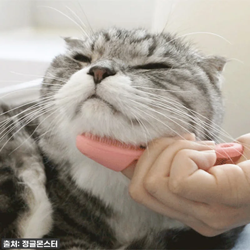✨ 품절임박! 우리 냥이 턱드름 해결 관련 이미지 1