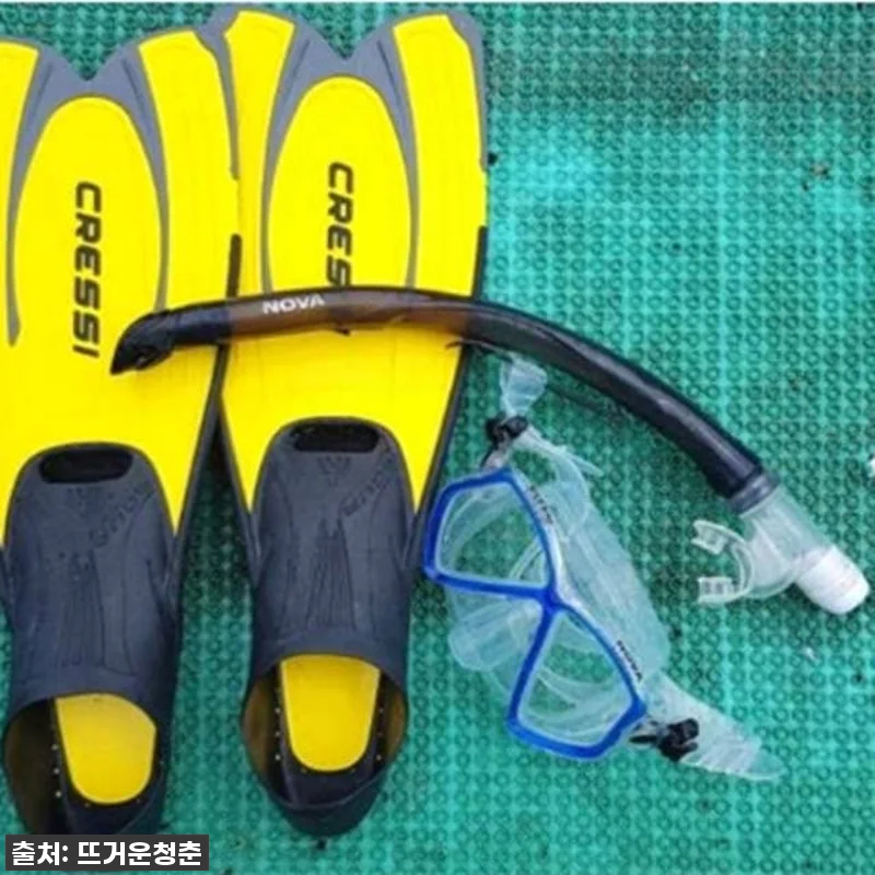 인생샷 건졌다! 다낭 참섬 스노클링 관련 이미지 1