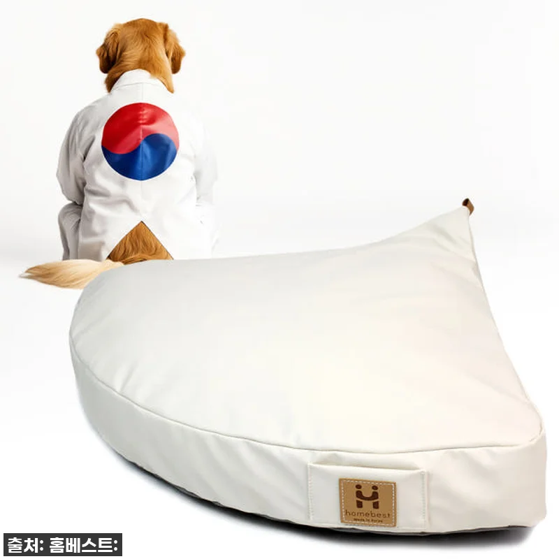 홈베스트 강아지방석 개모찌 M, 찐후 관련 이미지 1