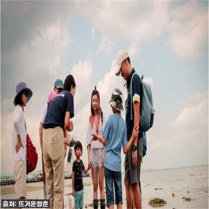 싱가포르 해양 과학자 일일 캠프 찐후 관련 이미지 1