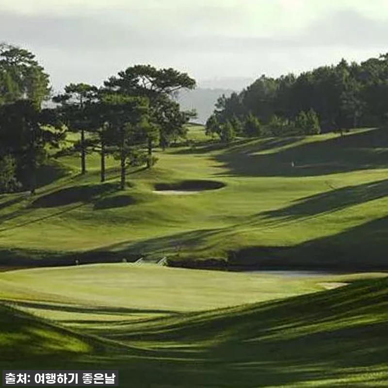 이슈템 떴다! 달랏 골프 팰리스CC, 관련 이미지 1