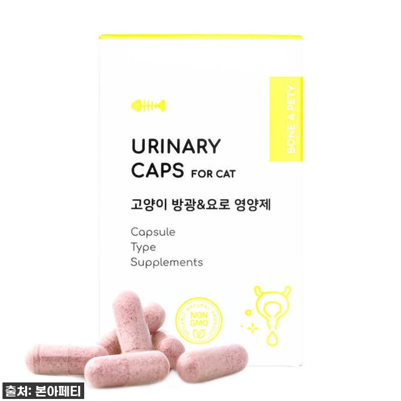 두근거리는 마음으로 겟! 본아페티 유리나리캡스, 우리 냥이들 방광 건강 지킴이 찐후기!