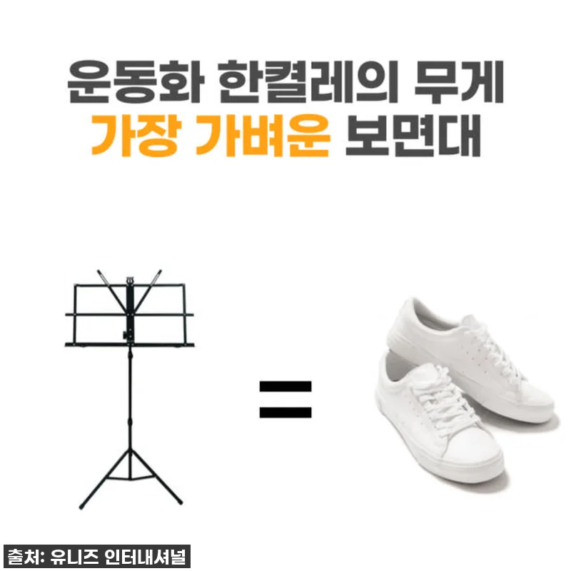 [초경량] 타르비셋 휴대용 접이식 보 관련 이미지 2