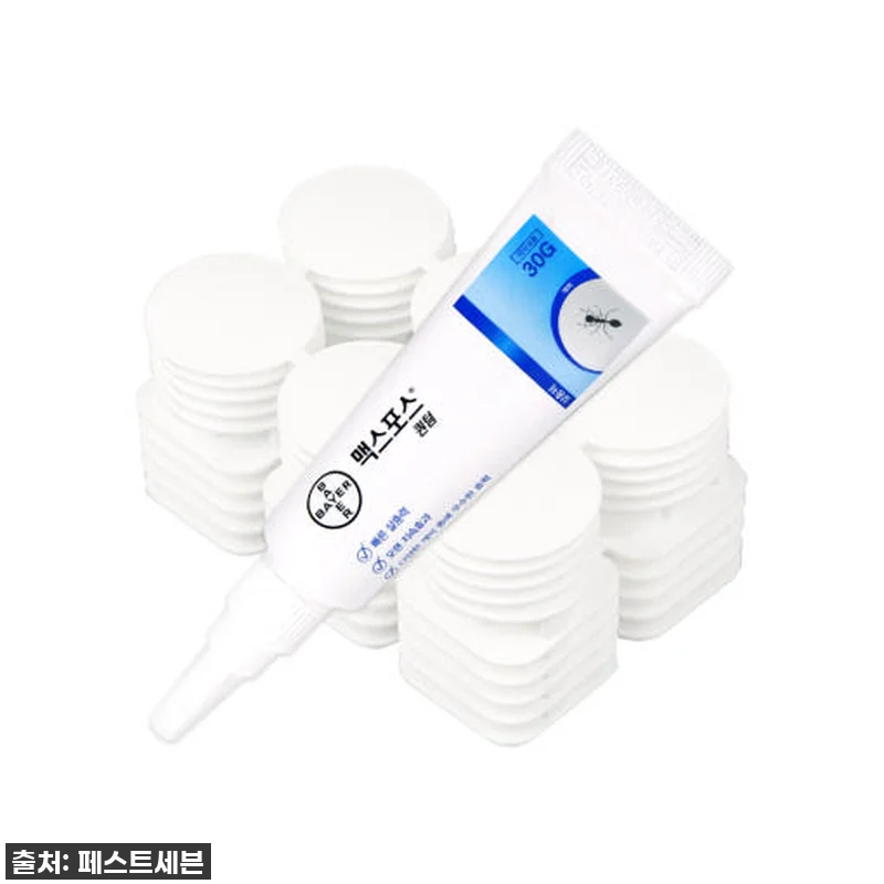 개미약 맥스포스퀀텀, 드디어 찾았다! 관련 이미지 1