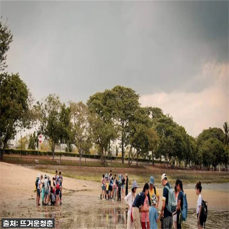 싱가포르 해양 과학자 일일 캠프 찐후 관련 이미지 2