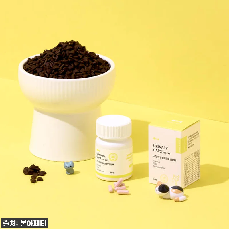 두근거리는 마음으로 겟! 본아페티 유 관련 이미지 1