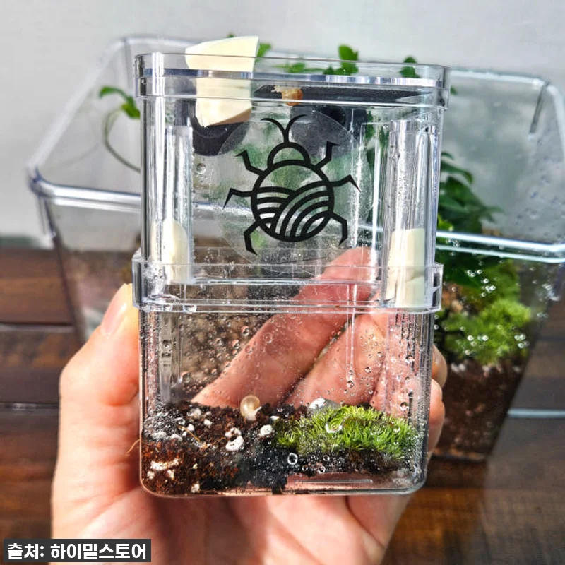✨반딧불이 키우기 풀세트, 이 가격 관련 이미지 3
