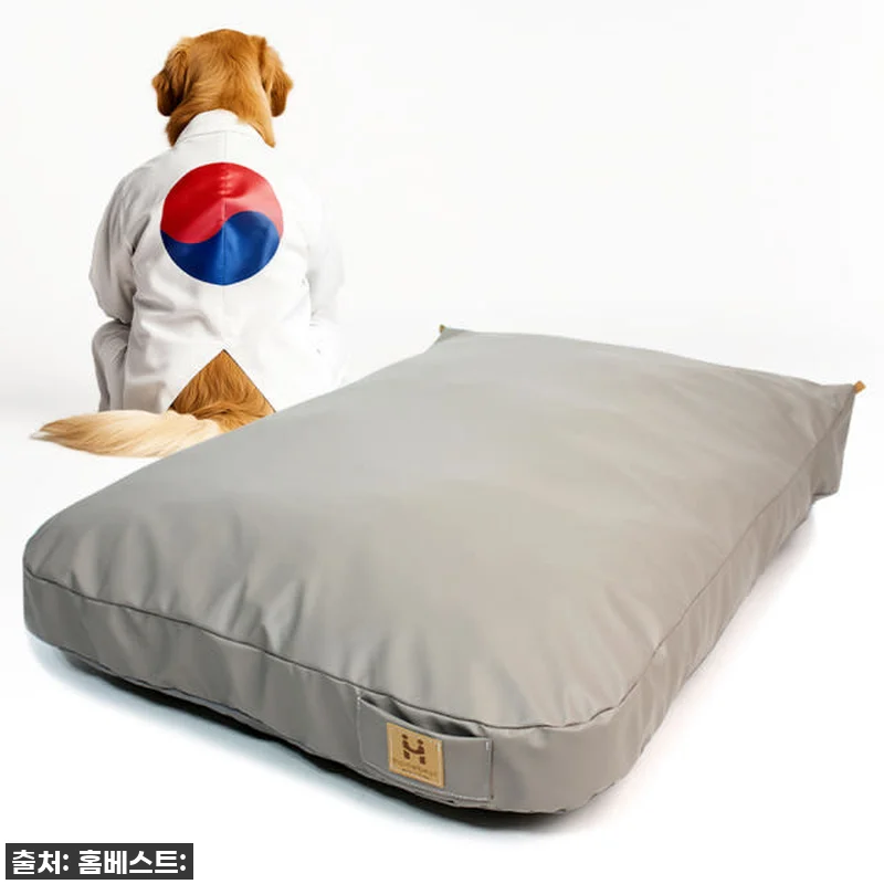 홈베스트 강아지방석 개모찌 M, 찐후 관련 이미지 2
