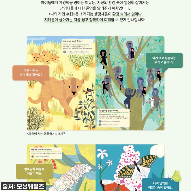 우리 아이 첫 자연학습 도감? 찐후기 관련 이미지 4