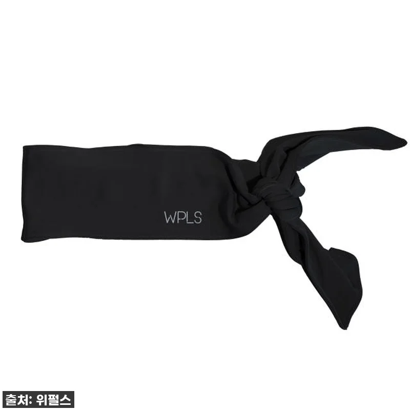 이슈템 등극! WPLS 위펄스 헤드타 관련 이미지 4