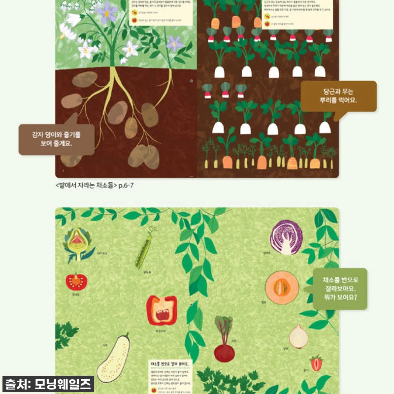 우리 아이 첫 자연학습 도감? 찐후기 관련 이미지 5