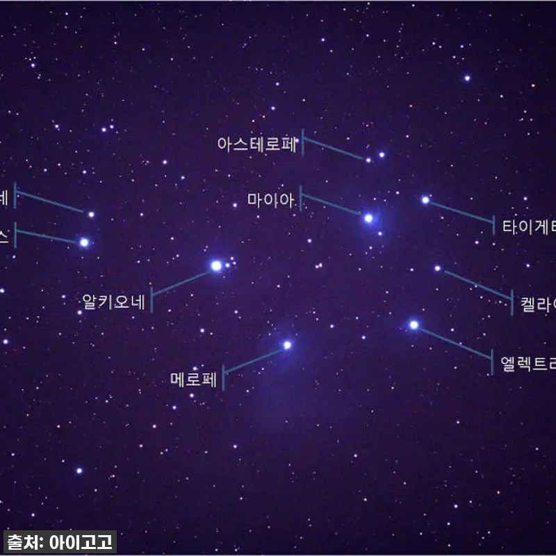 우리 아이 눈이 반짝! ✨ [경기] 관련 이미지 6