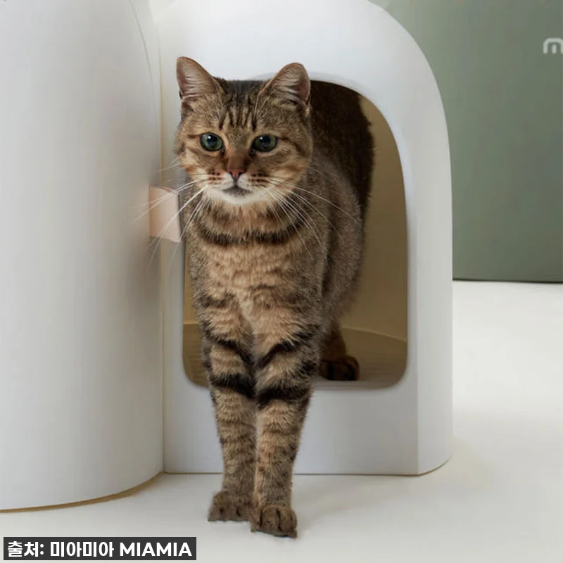 MIAMIA 사막화방지 고양이 화장실 관련 이미지 6