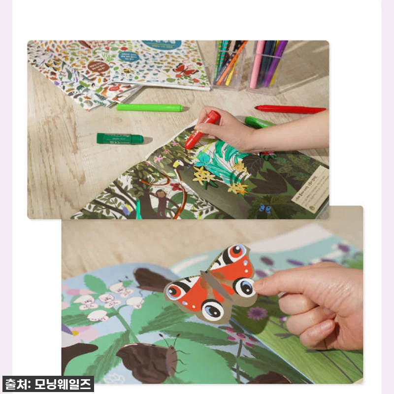 우리 아이 첫 자연학습 도감? 찐후기 관련 이미지 8