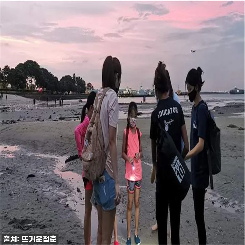 싱가포르 해양 과학자 일일 캠프 찐후 관련 이미지 8