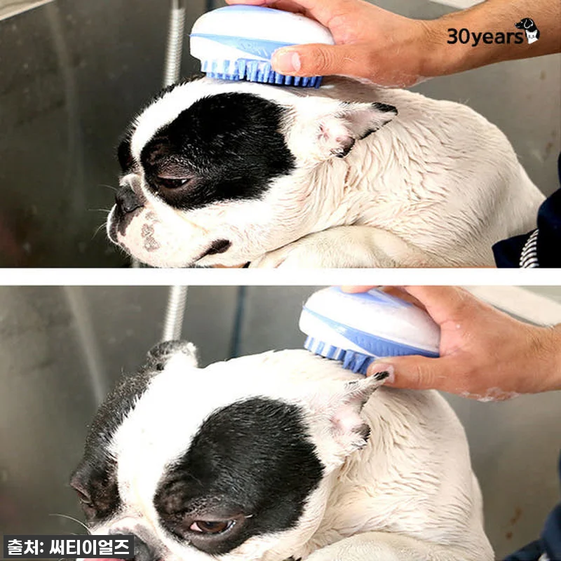 찐후기! 품절대란 예상! 강아지 고양 관련 이미지 8