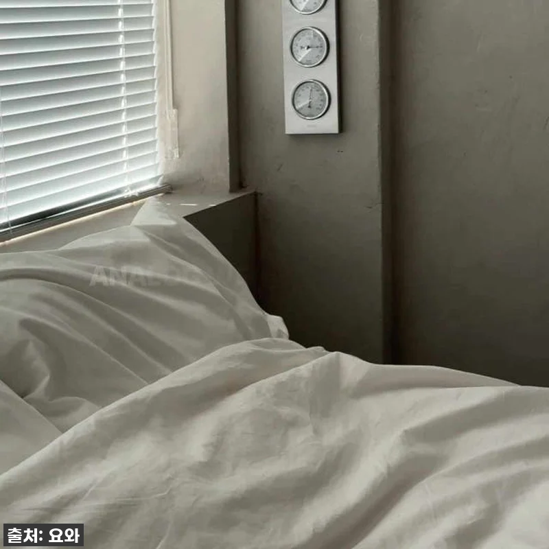 찐후기! 감성 인테리어 끝판왕? 아날 관련 이미지 10