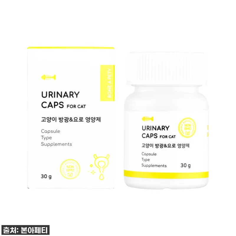 두근거리는 마음으로 겟! 본아페티 유 관련 이미지 9