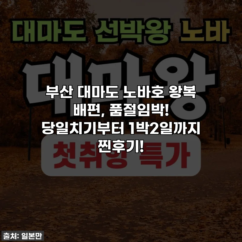 부산 대마도 노바호 왕복 배편, 품절임박! 당일치기부터 1박2일까지 찐후기!