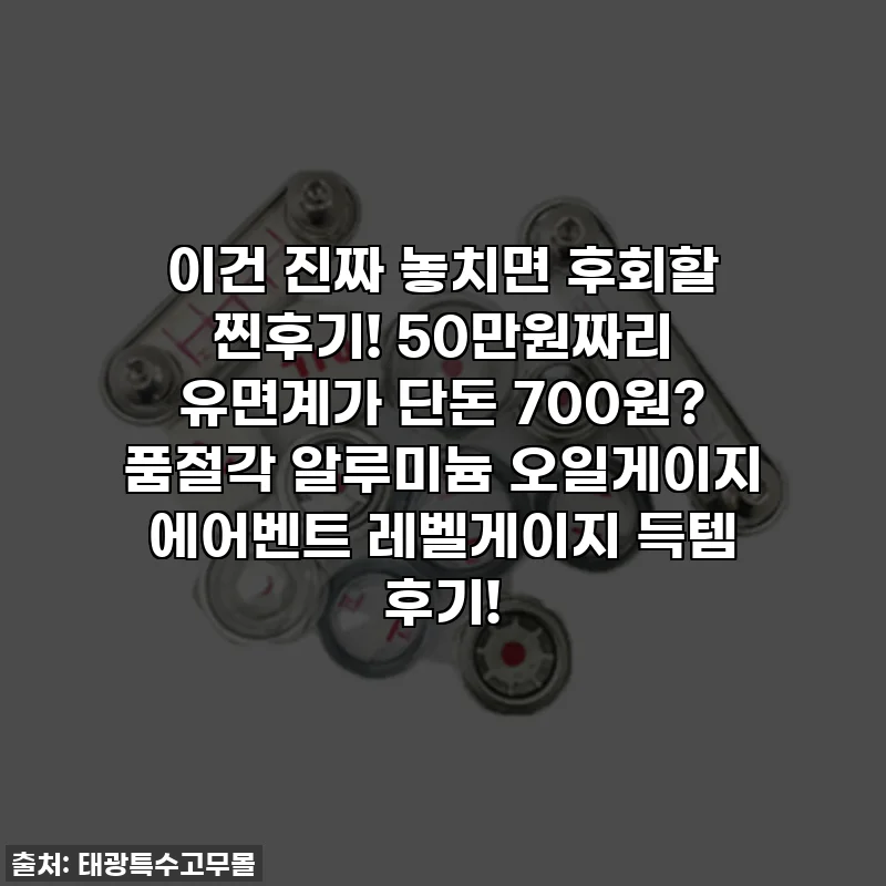 이건 진짜 놓치면 후회할 찐후기! 50만원짜리 유면계가 단돈 700원? 품절각 알루미늄 오일게이지 에어벤트 레벨게이지 득템 후기!