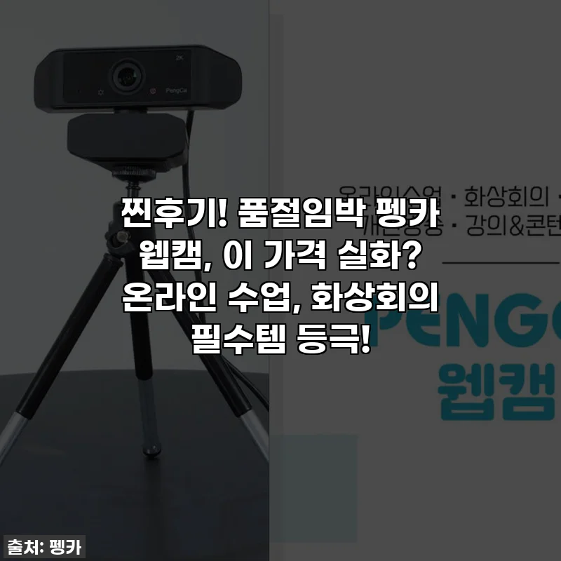 찐후기! 품절임박 펭카 웹캠, 이 가격 실화? 온라인 수업, 화상회의 필수템 등극!