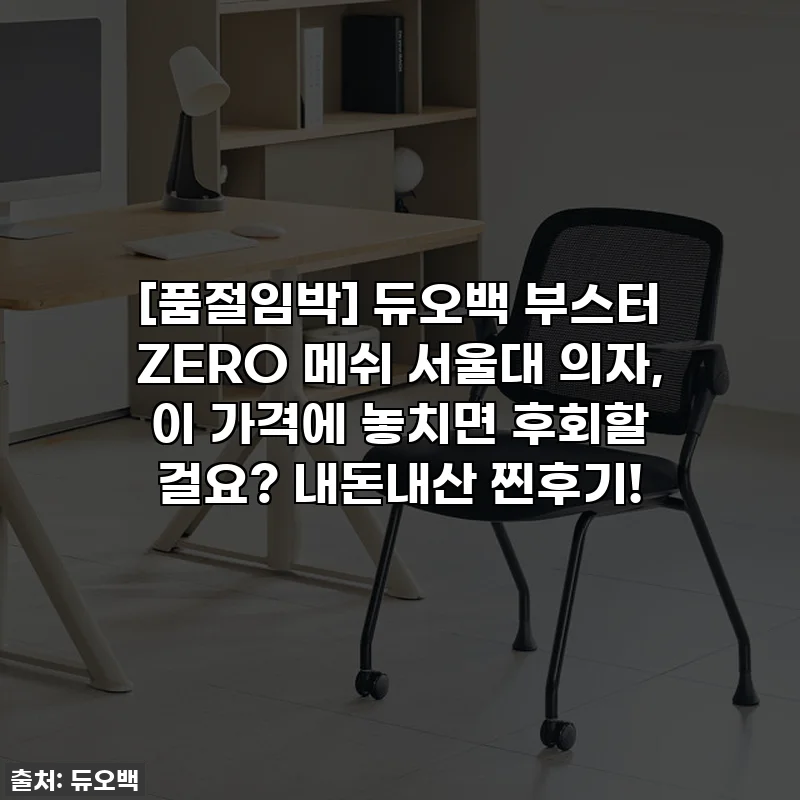 [품절임박] 듀오백 부스터 ZERO 메쉬 서울대 의자, 이 가격에 놓치면 후회할 걸요? 내돈내산 찐후기!