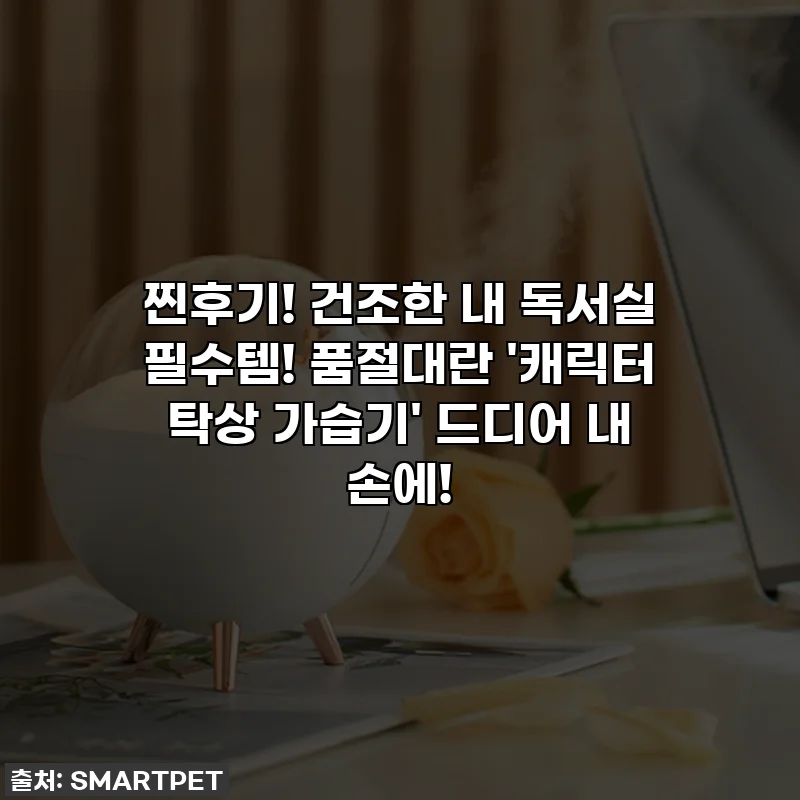 찐후기! 건조한 내 독서실 필수템! 품절대란 '캐릭터 탁상 가습기' 드디어 내 손에!