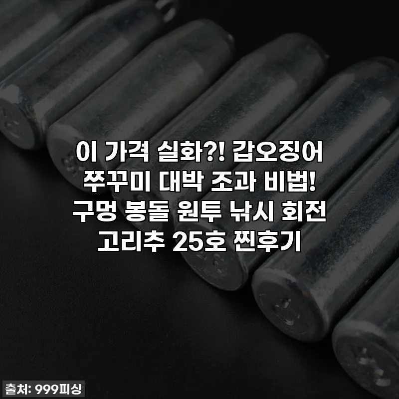 이 가격 실화?! 갑오징어 쭈꾸미 대박 조과 비법! 구멍 봉돌 원투 낚시 회전 고리추 25호 찐후기