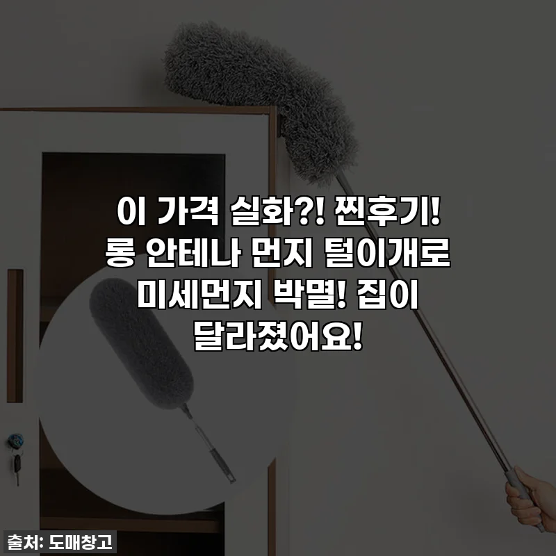 이 가격 실화?! 찐후기! 롱 안테나 먼지 털이개로 미세먼지 박멸! 집이 달라졌어요!