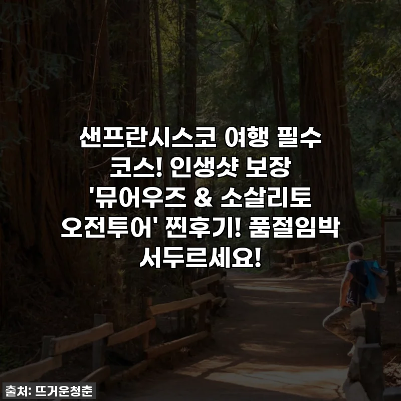 샌프란시스코 여행 필수 코스! 인생샷 보장 '뮤어우즈 & 소살리토 오전투어' 찐후기! 품절임박 서두르세요!