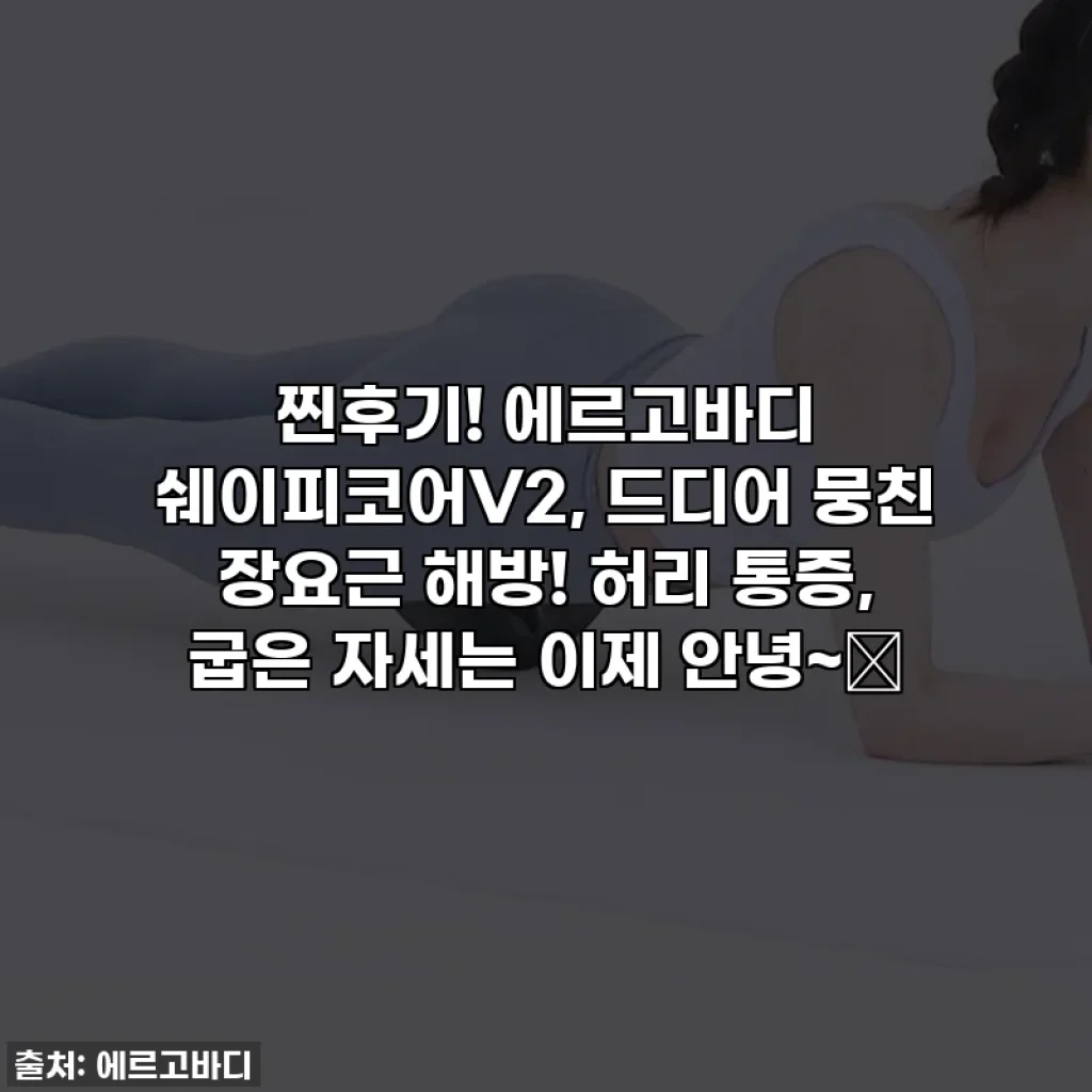 찐후기! 에르고바디 쉐이피코어V2, 드디어 뭉친 장요근 해방! 허리 통증, 굽은 자세는 이제 안녕~👋