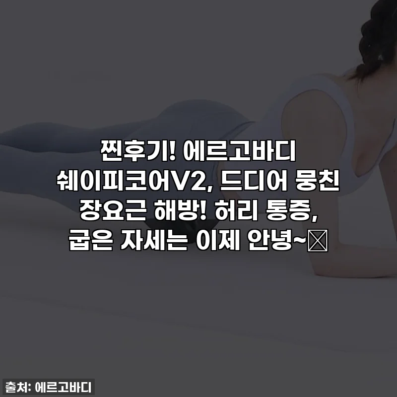 찐후기! 에르고바디 쉐이피코어V2, 드디어 뭉친 장요근 해방! 허리 통증, 굽은 자세는 이제 안녕~👋