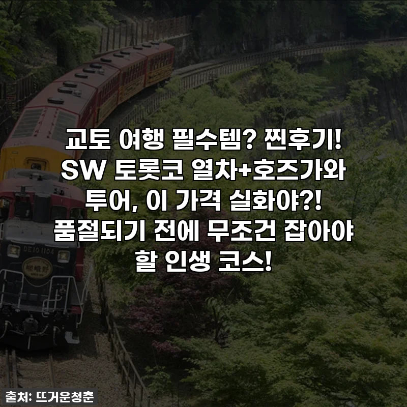 교토 여행 필수템? 찐후기! SW 토롯코 열차+호즈가와 투어, 이 가격 실화야?! 품절되기 전에 무조건 잡아야 할 인생 코스!