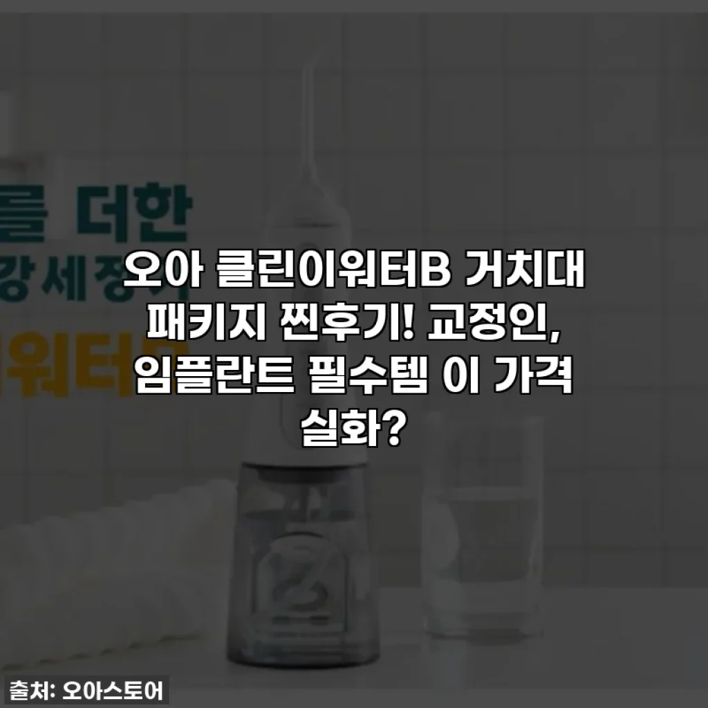 오아 클린이워터B 거치대 패키지 찐후기! 교정인, 임플란트 필수템 이 가격 실화?