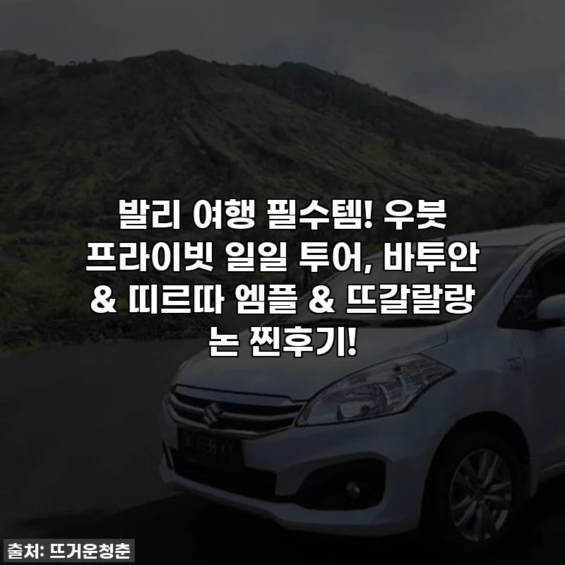 발리 여행 필수템! 우붓 프라이빗 일일 투어, 바투안 & 띠르따 엠플 & 뜨갈랄랑 논 찐후기!