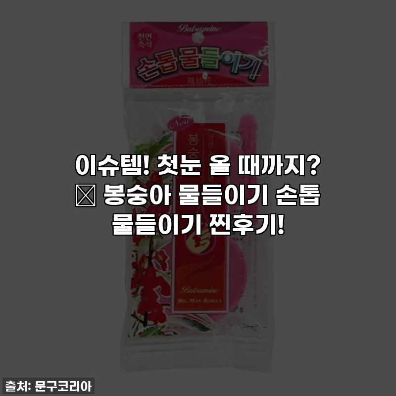 이슈템! 첫눈 올 때까지? 💖 봉숭아 물들이기 손톱 물들이기 찐후기!