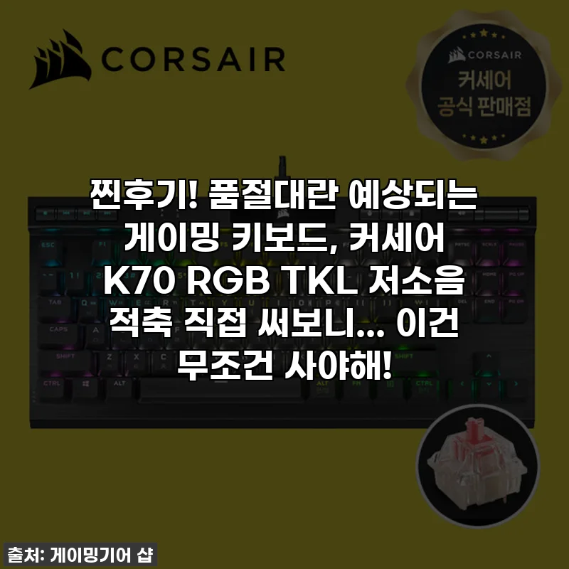 찐후기! 품절대란 예상되는 게이밍 키보드, 커세어 K70 RGB TKL 저소음 적축 직접 써보니... 이건 무조건 사야해!