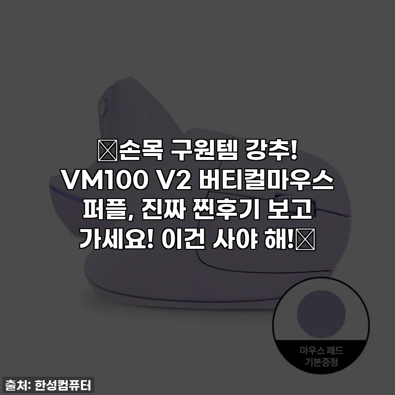 🔥손목 구원템 강추! VM100 V2 버티컬마우스 퍼플, 진짜 찐후기 보고 가세요! 이건 사야 해!🔥