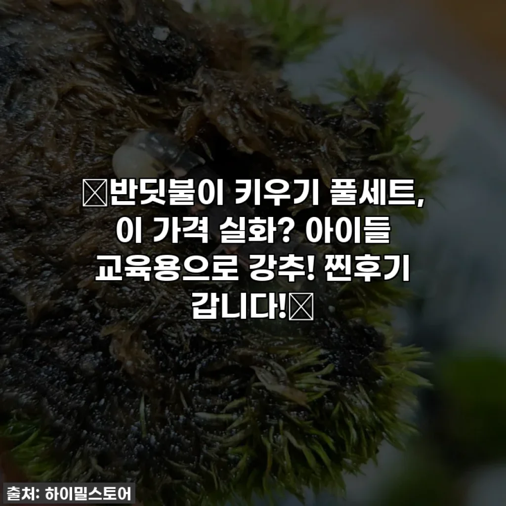 ✨반딧불이 키우기 풀세트, 이 가격 실화? 아이들 교육용으로 강추! 찐후기 갑니다!✨