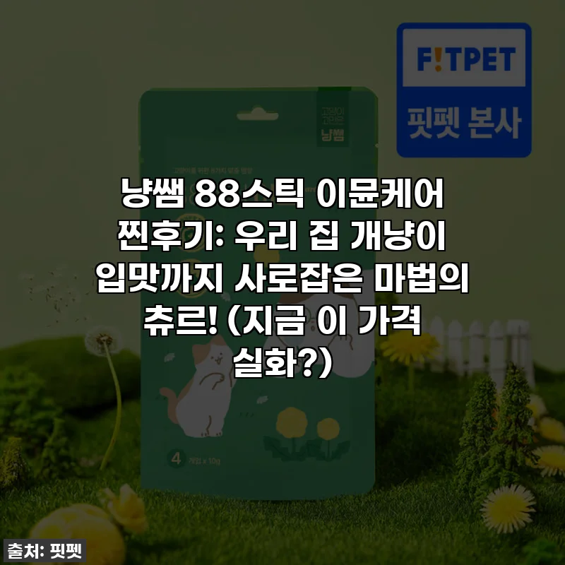 냥쌤 88스틱 이뮨케어 찐후기: 우리 집 개냥이 입맛까지 사로잡은 마법의 츄르! (지금 이 가격 실화?)