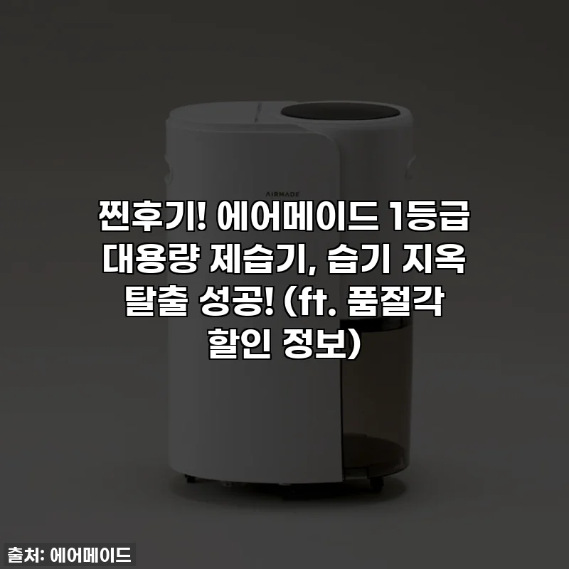 찐후기! 에어메이드 1등급 대용량 제습기, 습기 지옥 탈출 성공! (ft. 품절각 할인 정보)