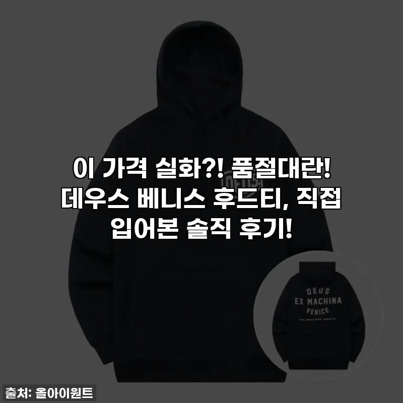 이 가격 실화?! 품절대란! 데우스 베니스 후드티, 직접 입어본 솔직 후기!