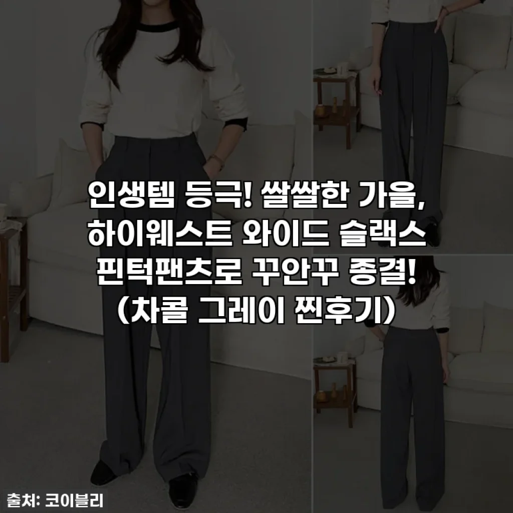 인생템 등극! 쌀쌀한 가을, 하이웨스트 와이드 슬랙스 핀턱팬츠로 꾸안꾸 종결! (차콜 그레이 찐후기)