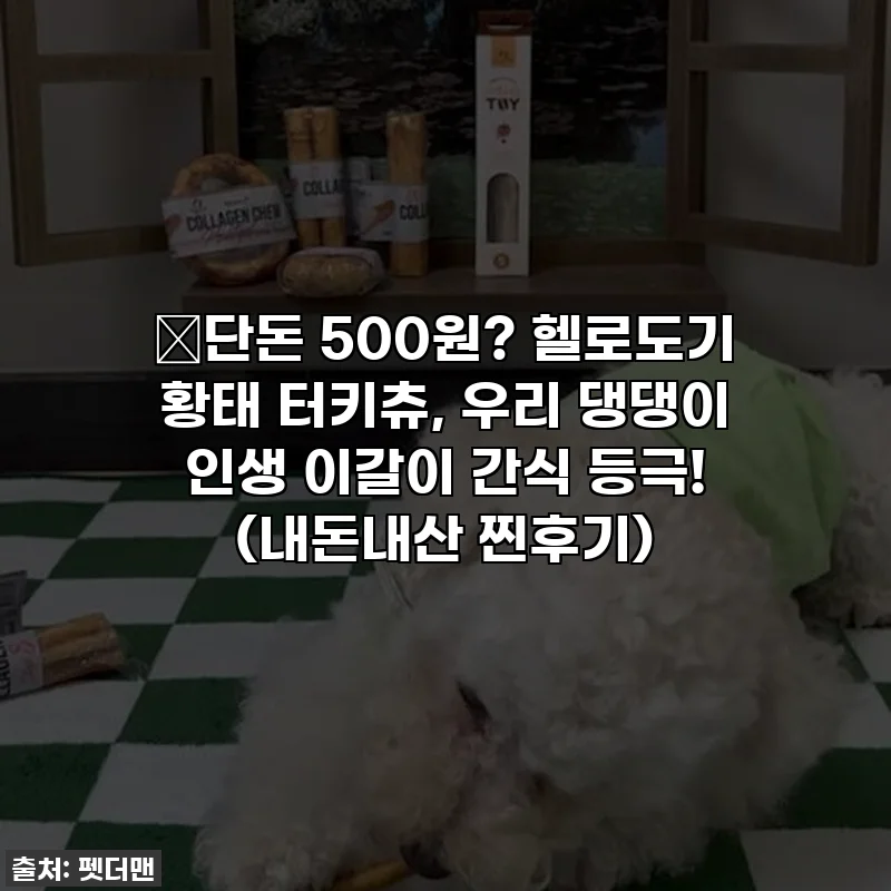 🔥단돈 500원? 헬로도기 황태 터키츄, 우리 댕댕이 인생 이갈이 간식 등극! (내돈내산 찐후기)