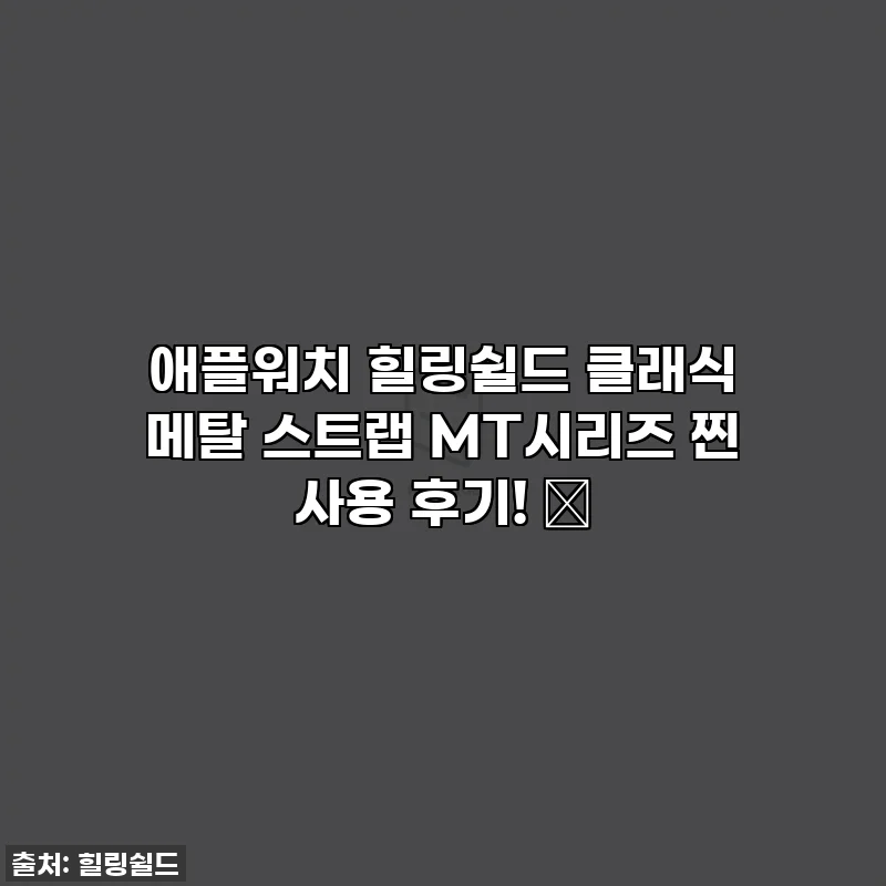 애플워치 힐링쉴드 클래식 메탈 스트랩 MT시리즈 찐 사용 후기! ✨