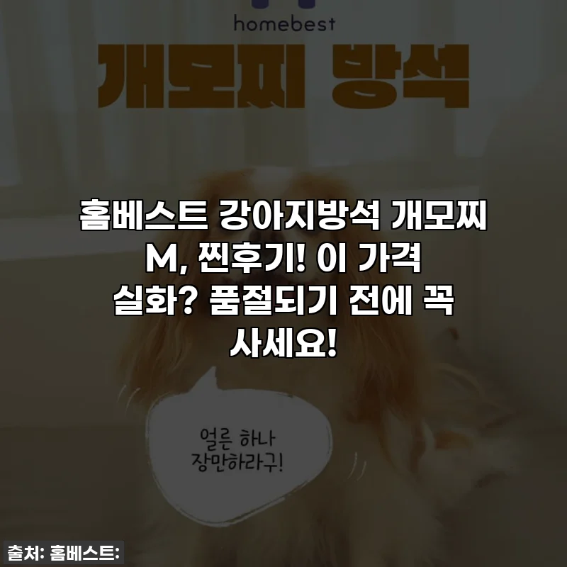 홈베스트 강아지방석 개모찌 M, 찐후기! 이 가격 실화? 품절되기 전에 꼭 사세요!
