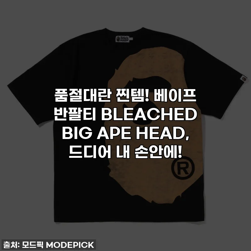 품절대란 찐템! 베이프 반팔티 BLEACHED BIG APE HEAD, 드디어 내 손안에!