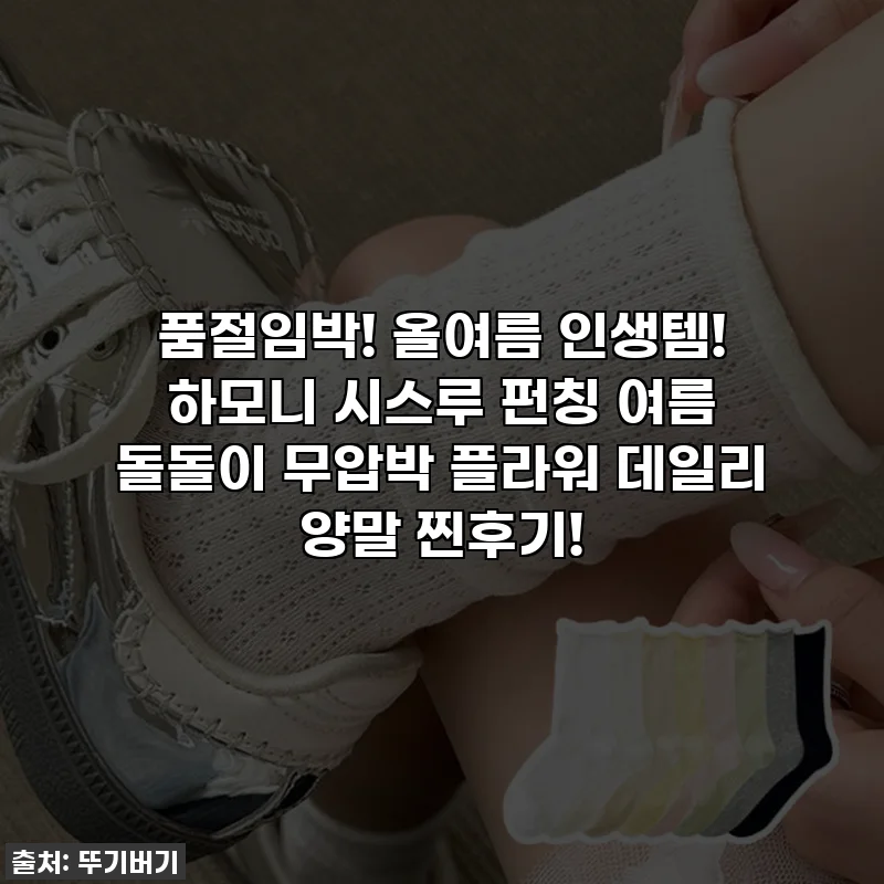 품절임박! 올여름 인생템! 하모니 시스루 펀칭 여름 돌돌이 무압박 플라워 데일리 양말 찐후기!
