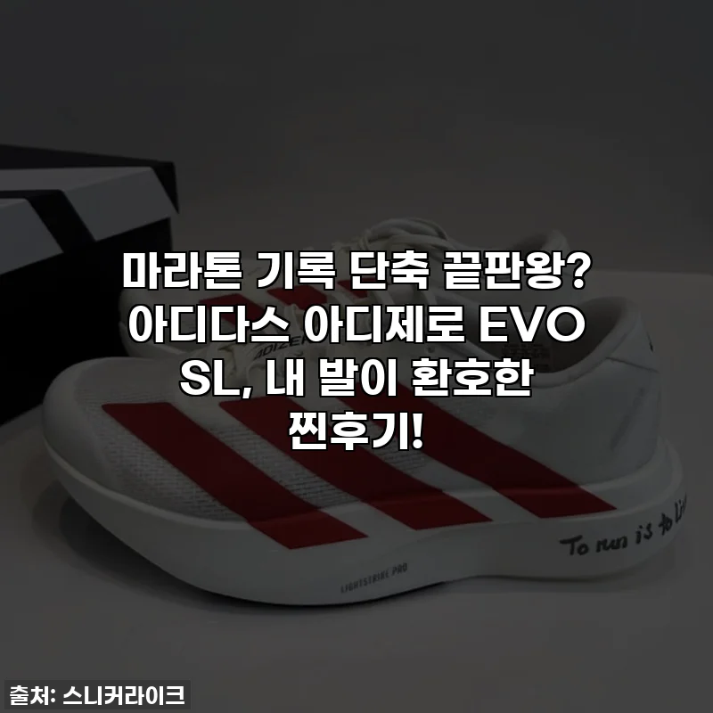 마라톤 기록 단축 끝판왕? 아디다스 아디제로 EVO SL, 내 발이 환호한 찐후기!